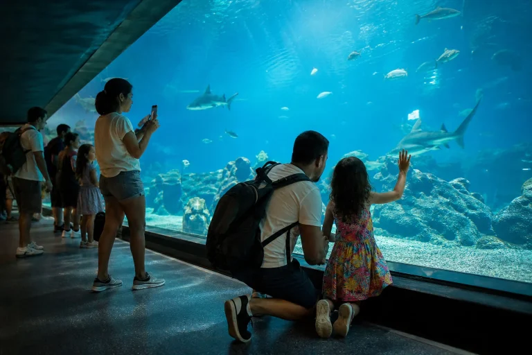 Visitors observing a large marine habitat during an AquaRio trip