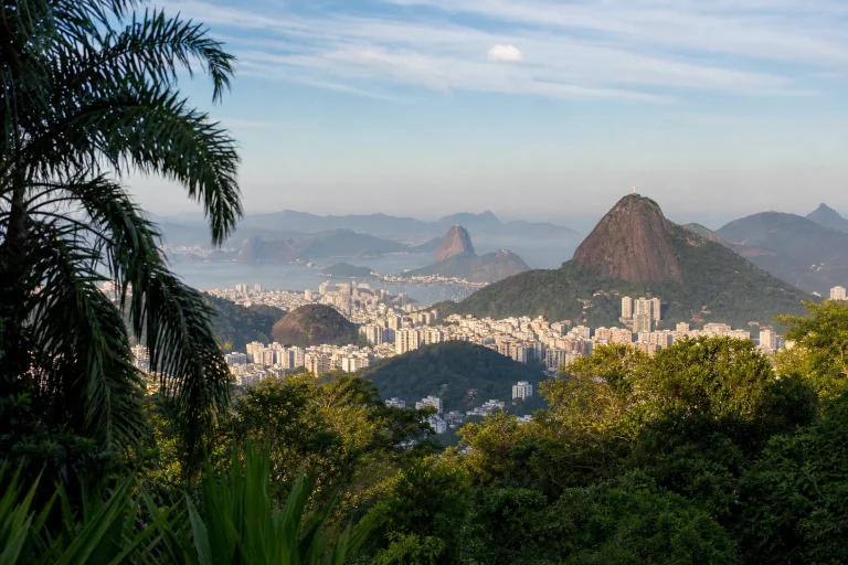 Rio de Janeiro neighborhoods and hills framed by tropical foliage