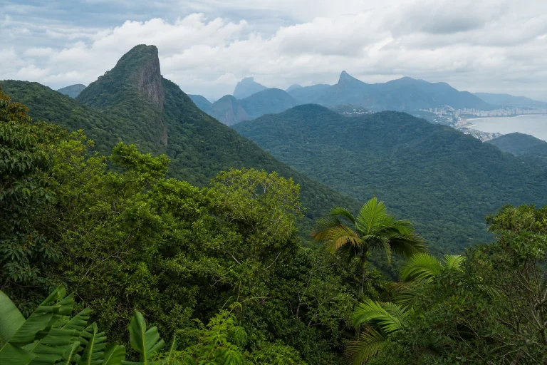 Forested mountains in Tijuca National Park, Rio de Janeiro