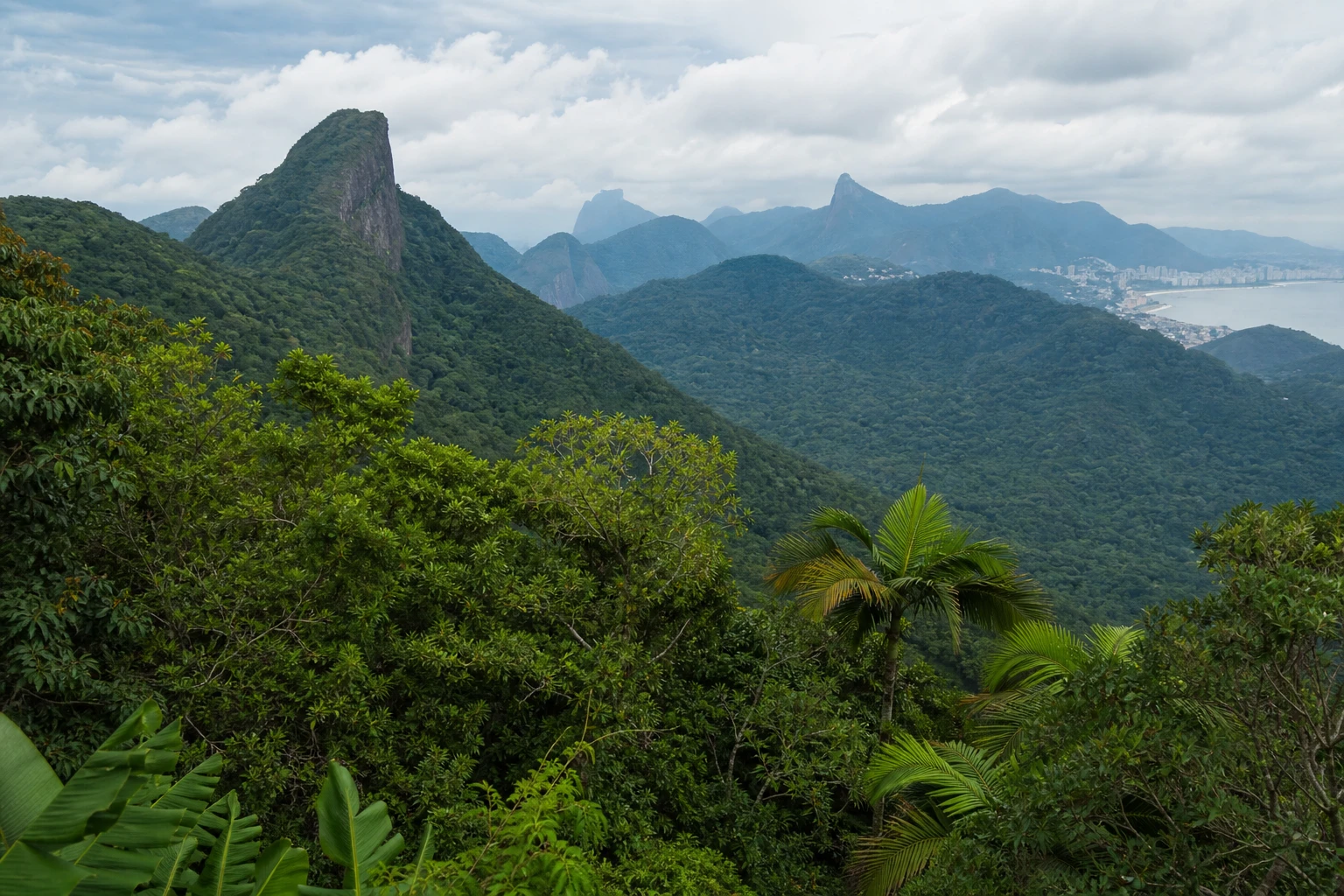 Tijuca National Park Guide