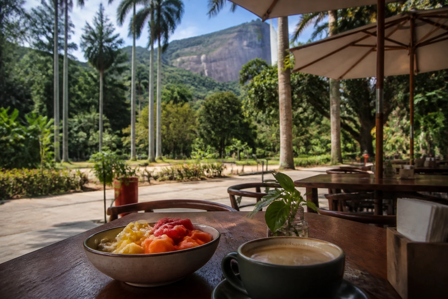 Daytime café table in leafy Jardim Botânico