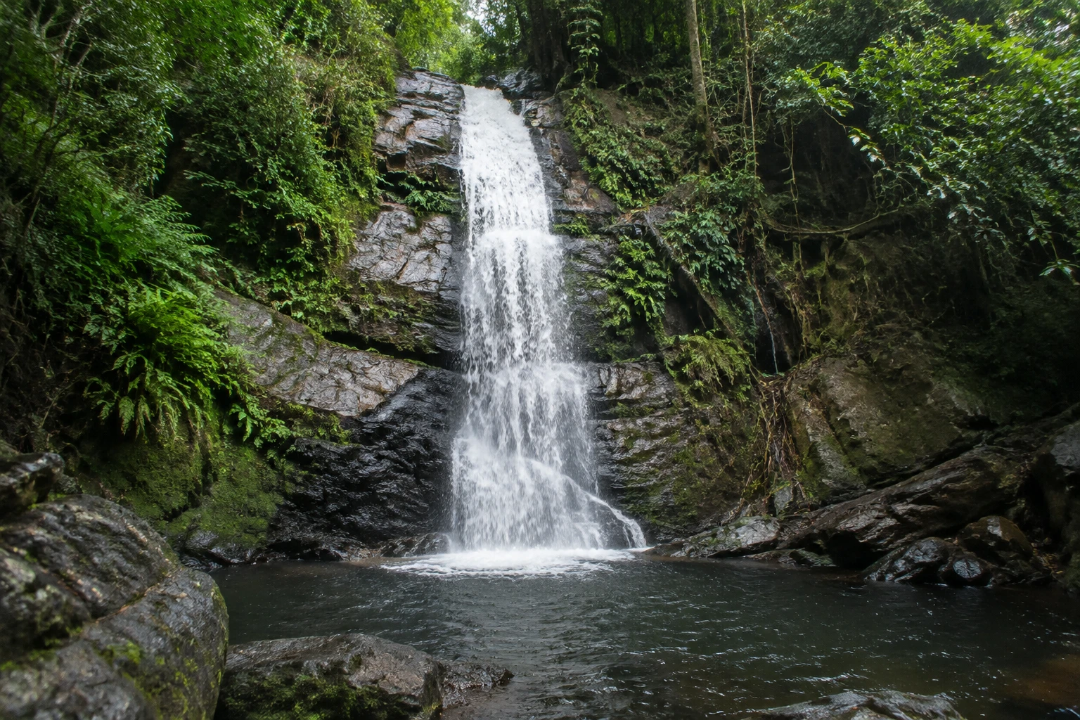 Cachoeira das Almas in Tijuca National Park