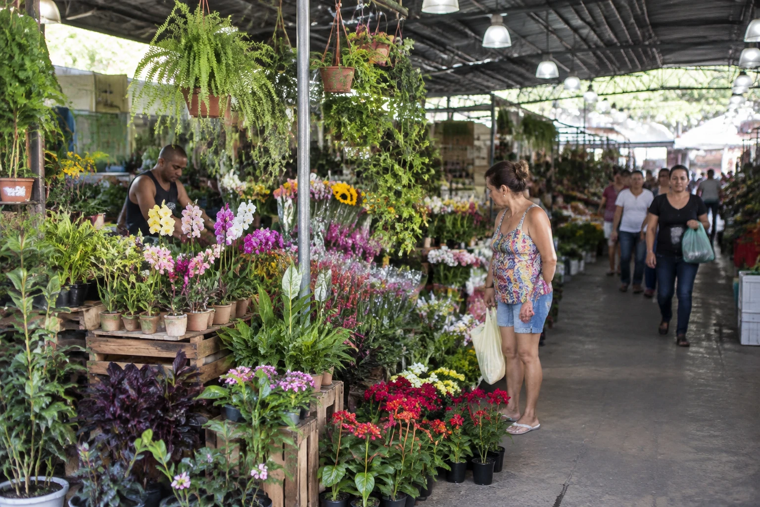 Flowers and plants at CADEG, Rio de Janeiro’s municipal market in Benfica.