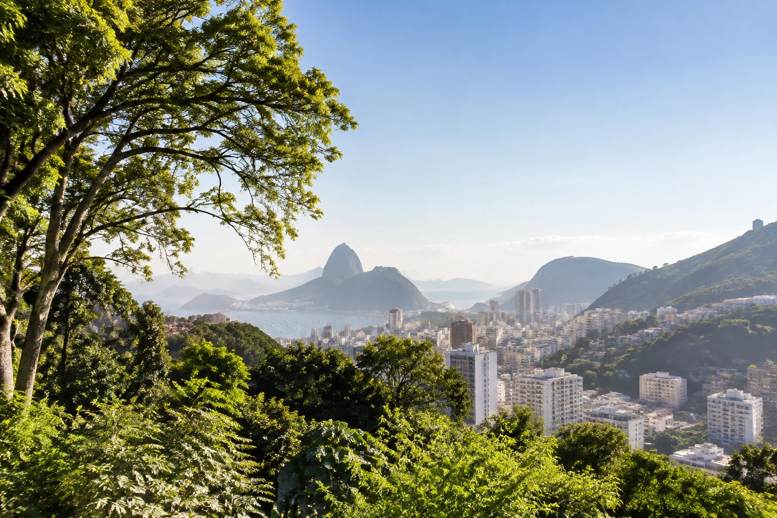 Green hillside scenery alongside the city in Rio de Janeiro