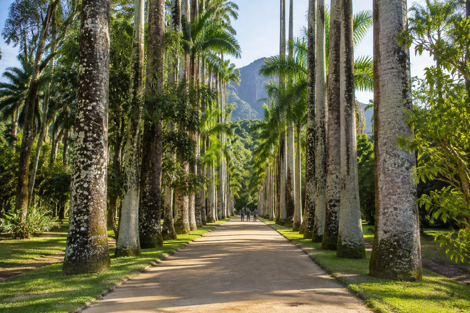 A garden path at the Jardim Botânico in Rio de Janeiro